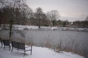 Frozen lake in Burgerark Nord