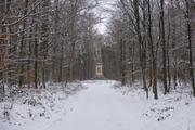 Hartig Denkmal in the forest